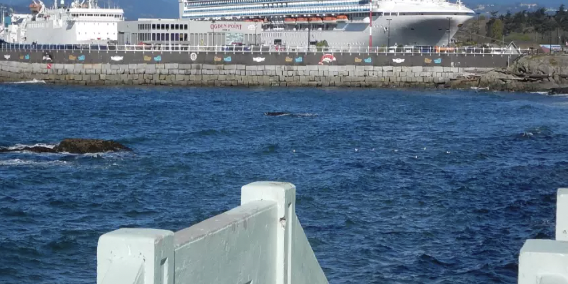 Novios: Rocosas, Vancouver y Victoria